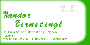 nandor birnstingl business card